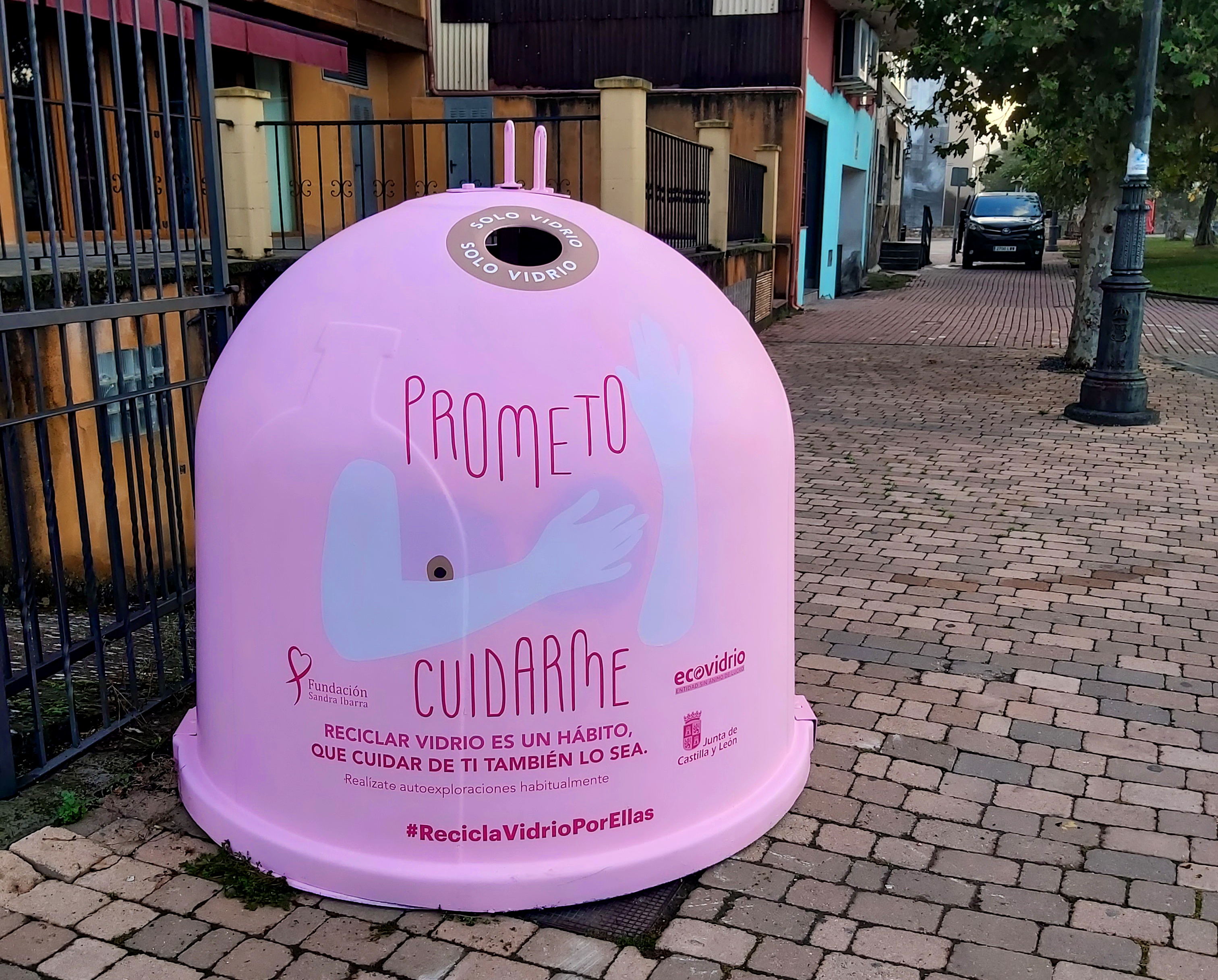 Contenedor Rosa One Página web oficial del Ayuntamiento de Toral de los Vados